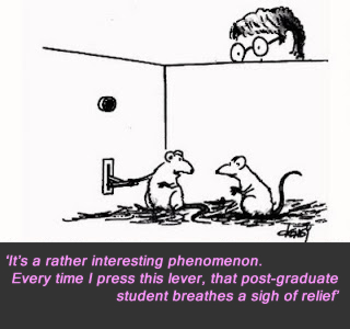 research methods cartoon